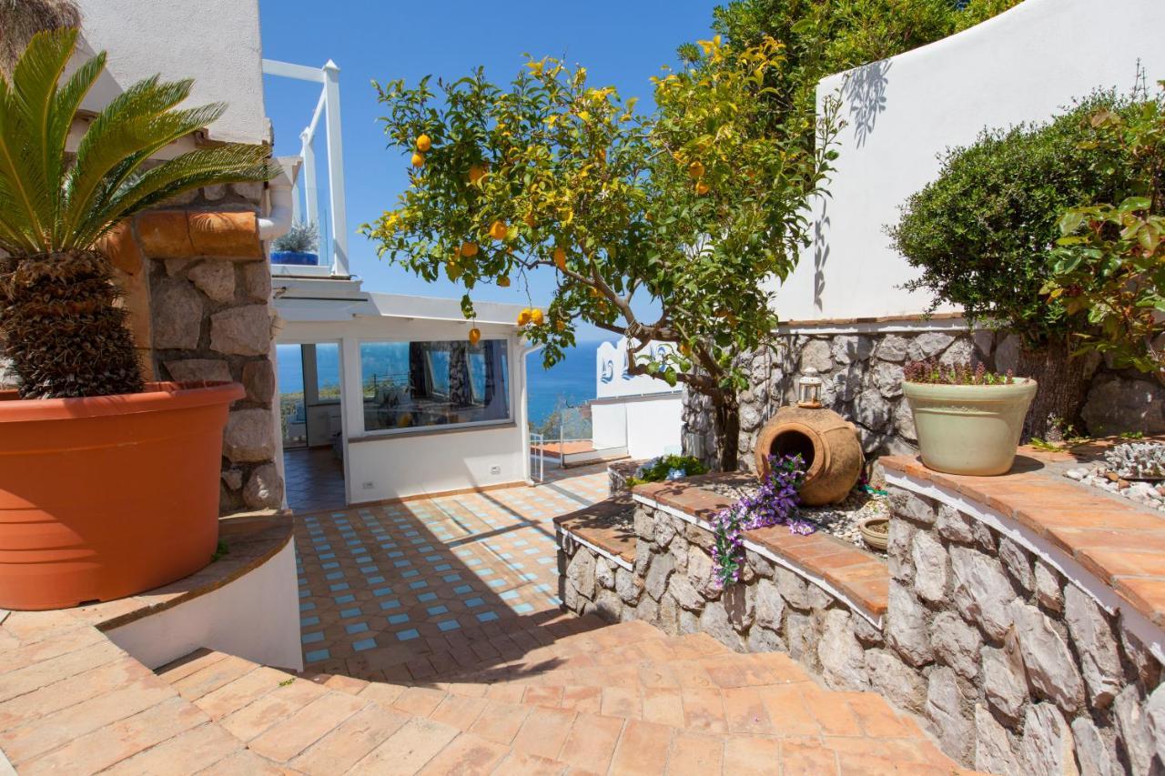 Villa Venus In Penisola Sorrentina Massa Lubrense Exterior photo
